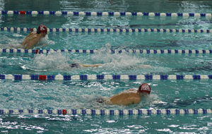 natation6.jpg